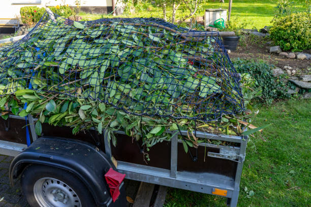 Best Shed Removal  in St Martin, MS